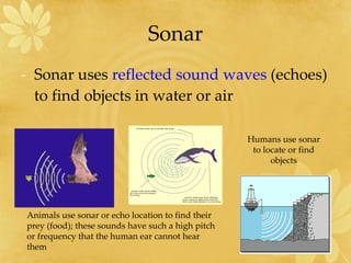 Sonar Sonar uses  reflected sound waves  (echoes) to find objects in water or air  Animals use sonar or echo location to find their prey (food); these sounds have such a high pitch or frequency that the human ear cannot hear them Humans use sonar to locate or find objects 