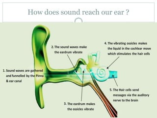 How does sound reach our ear ?
 