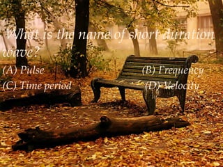 What is the name of short duration
wave?
(A) Pulse
(C) Time period

(B) Frequency
(D) Velocity

 