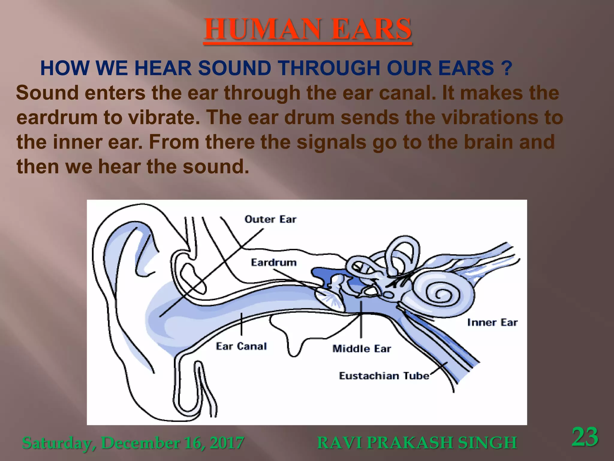 HUMAN EARS
HOW WE HEAR SOUND THROUGH OUR EARS ?
Sound enters the ear through the ear canal. It makes the
eardrum to vibrate. The ear drum sends the vibrations to
the inner ear. From there the signals go to the brain and
then we hear the sound.
Saturday, December 16, 2017 RAVI PRAKASH SINGH 23
 