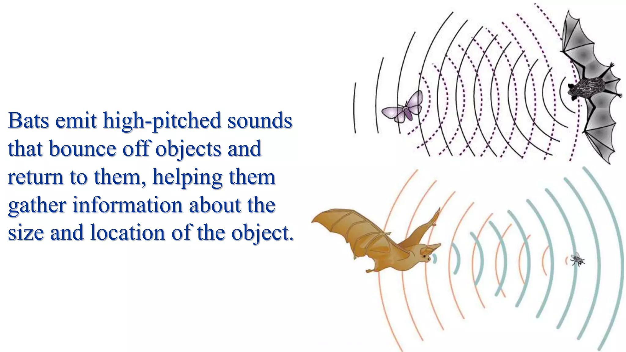 Sound class six | PPTX