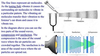 The fine lines represent air molecules.
As the tuning fork vibrates it causes the
surrounding air molecules to vibrate in
a particular pattern. The vibrating air
molecules transfer their vibration to the
listener’s ear drum and cause it to
vibrate too.
In the diagram above you can see the
two parts of the sound waves,
compression and rarefaction. The
compression is the area of the sound
wave where the air particles are
crowded together. The rarefaction is the
area of the sound wave where the air
particles are spread out.
 
