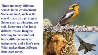 There are many different
sounds in the environment.
Some are loud, such as the
sound made by a jet engine.
Some, such as whispers, are
soft. Every one of us has a
different voice. Imagine
listening to the sounds of
birds, different musical
instruments, and a lion’s roar.
What makes them different
from each other?
 
