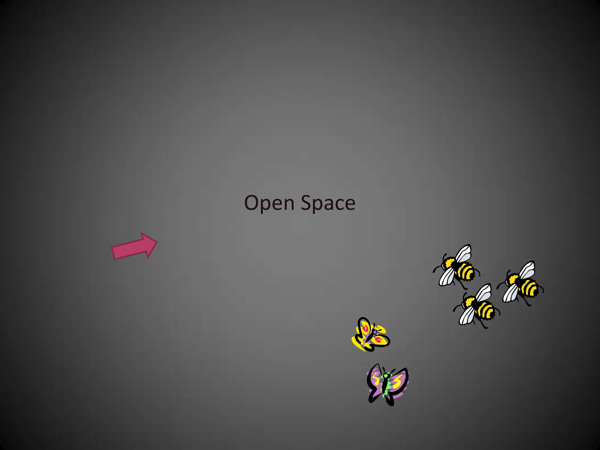 Community Conversation Project