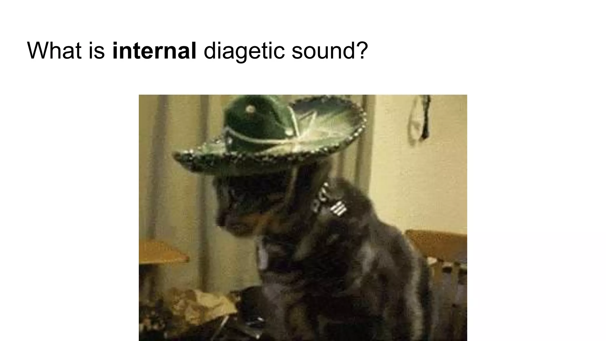 What is internal diagetic sound?
 