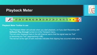 Playback Meter
Playback Meter Toolbar in use
The Playback Meter will activate when you start playback, or if you start Rec...
