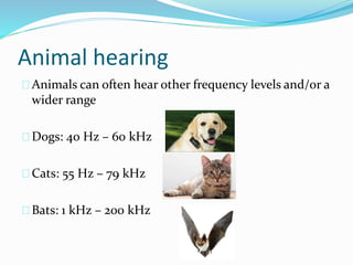 Animal hearing
Animals can often hear other frequency levels and/or a
wider range
Dogs: 40 Hz – 60 kHz
Cats: 55 Hz – 79 kHz
Bats: 1 kHz – 200 kHz
 