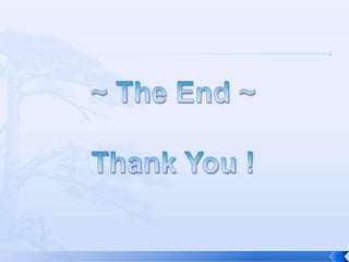 Comparison on QUIET BARRIER® HD & QUIET BARRIER® MD