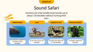 Sound -The Science Behind Sound and Vibrations.pptx