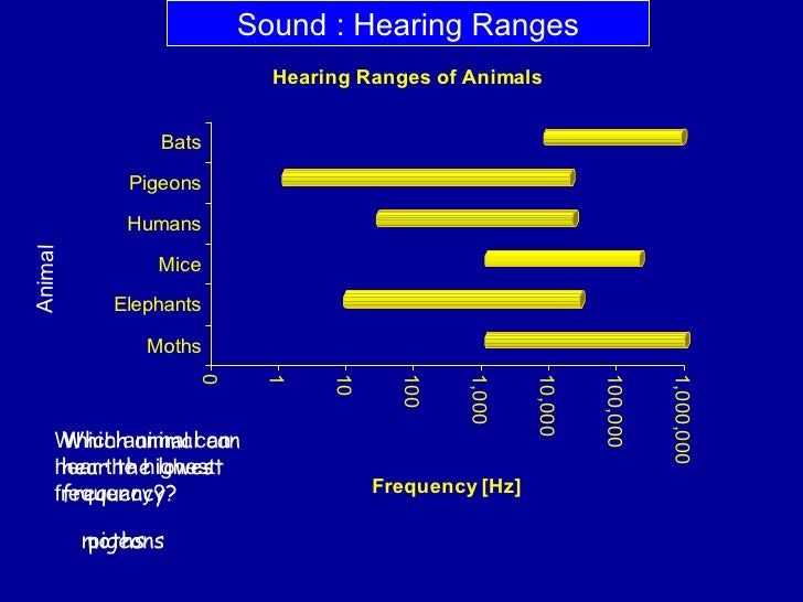 What Is The Highest Frequency A Dog Can Hear What Is The Highest Frequency A Dog Can Hear