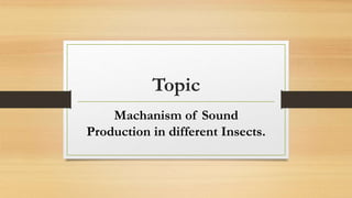 Topic
Machanism of Sound
Production in different Insects.
 