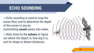ECHO SOUNDING
▰Echo sounding is used to map the
ocean floor and to determine the depth
of the ocean or sea by
transmitting sound waves into water.
▰Bats listen to the echoes to figure
out where the object is, how big it is,
and its shape or detect distances.
30
 