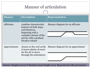 Manner of articulation
Manner Description Representation
Affricates combine characteristic
features of both stops
and fric...