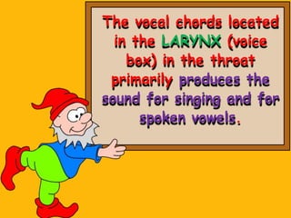 The vocal chords located
in the LARYNX (voice
box) in the throat
primarily produces the
sound for singing and for
spoken vowels.
 