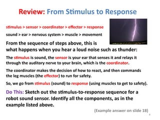 4
stimulus > sensor > coordinator > effector > response
sound > ear > nervous system > muscle > movement
From the sequence of steps above, this is
what happens when you hear a loud noise such as thunder:
The stimulus is sound, the sensor is your ear that senses it and relays it
through the auditory nerve to your brain, which is the coordinator.
The coordinator makes the decision of how to react, and then commands
the leg muscles (the effector) to run for safety.
So, we go from stimulus (sound) to response (using muscles to get to safety).
Do This: Sketch out the stimulus-to-response sequence for a
robot sound sensor. Identify all the components, as in the
example listed above.
(Example answer on slide 18)
Review: From Stimulus to Response
 