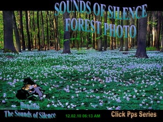 12.02.10   06:13 AM Bandari The Sounds of Silence SOUNDS OF SILENCE FOREST PHOTO Click Pps Series 
