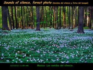 Sounds of silence, forest photo       (Sonidos del silencio y fotos del bosque)




    12/10/12 11:08 AM   Musica: Los sonidos del silencio.
 