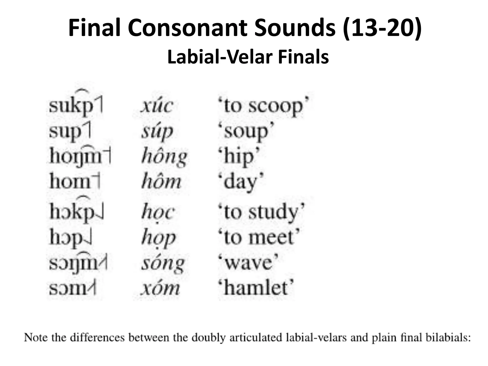 Final Consonant Sounds (13-20) 
Labial-Velar Finals 
 
