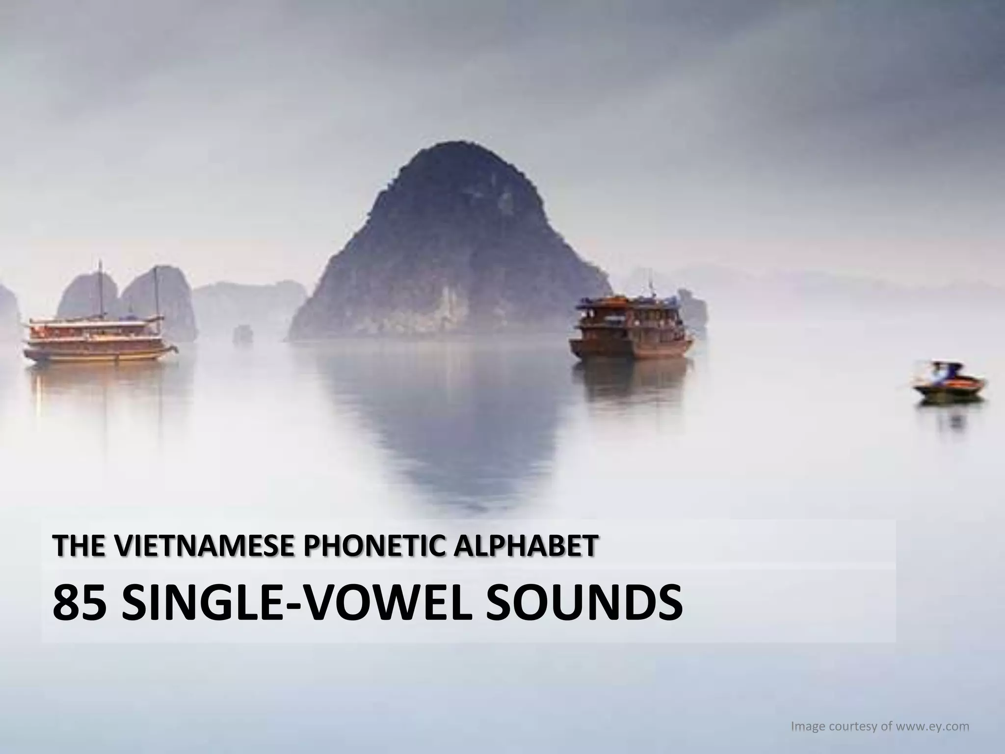 THE VIETNAMESE PHONETIC ALPHABET 
85 SINGLE-VOWEL SOUNDS 
Image courtesy of www.ey.com 
 