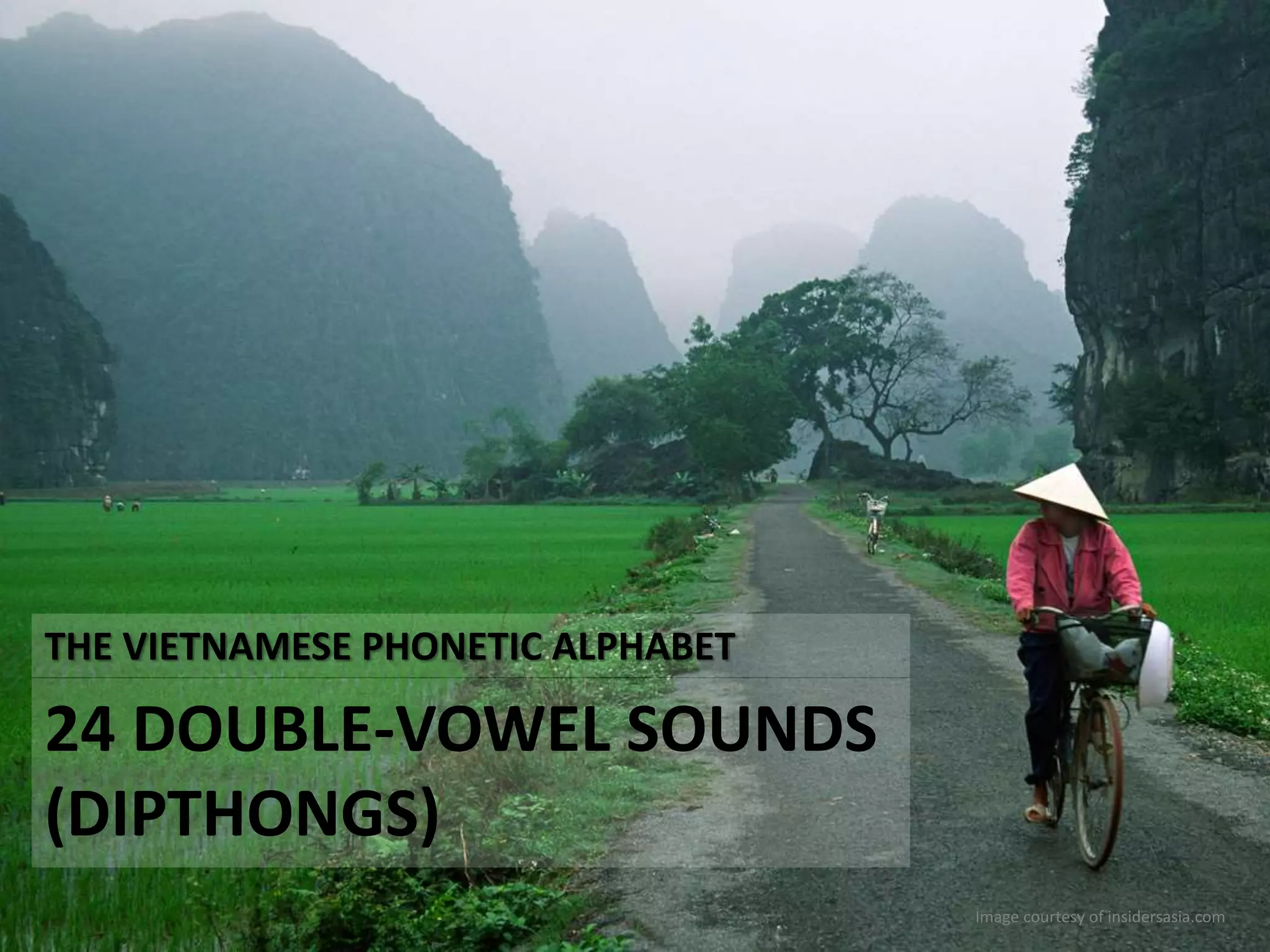 THE VIETNAMESE PHONETIC ALPHABET 
24 DOUBLE-VOWEL SOUNDS 
(DIPTHONGS) 
Image courtesy of insidersasia.com 
 