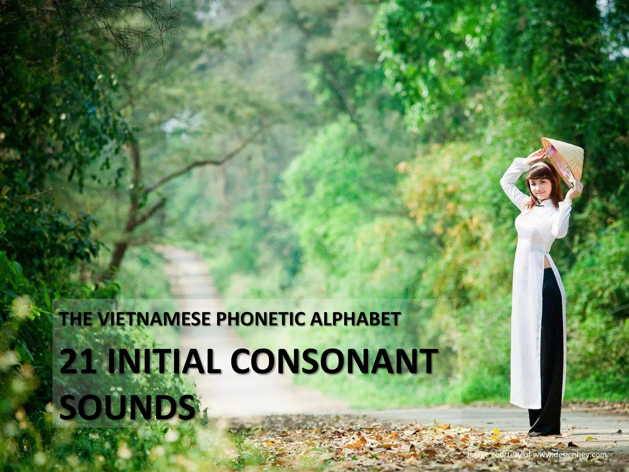 THE VIETNAMESE PHONETIC ALPHABET 
21 INITIAL CONSONANT 
SOUNDS 
Image courtesy of www.designhey.com 
 