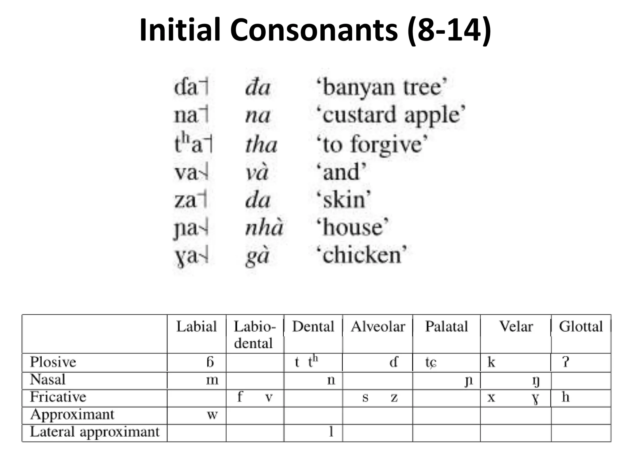 Initial Consonants (8-14) 
 
