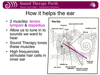 Sound Therapy: Natural Hearing Improvement