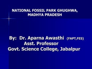 By: Dr. Aparna Awasthi (FAPT,FES)
Asst. Professor
Govt. Science College, Jabalpur
NATIONAL FOSSIL PARK GHUGHWA,
MADHYA PRADESH
 