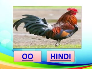 OO HINDI
 