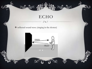 ECHO

 reflected sound wave (singing in the shower)
 