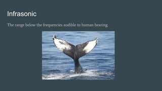 Infrasonic
The range below the frequencies audible to human hearing.
 