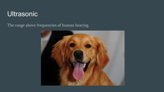 Ultrasonic
The range above frequencies of human hearing.
 