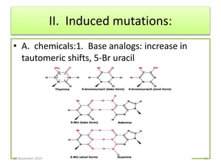 II. Induced mutations: 
• A. chemicals:1. Base analogs: increase in 
tautomeric shifts, 5-Br uracil 
20 November 2014 15 
 