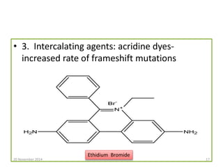 • 3. Intercalating agents: acridine dyes-increased 
rate of frameshift mutations 
Ethidium Bromide 
20 November 2014 17 
 