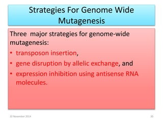 Strategies For Genome Wide 
Mutagenesis 
Three major strategies for genome-wide 
mutagenesis: 
• transposon insertion, 
• gene disruption by allelic exchange, and 
• expression inhibition using antisense RNA 
molecules. 
20 November 2014 20 
 