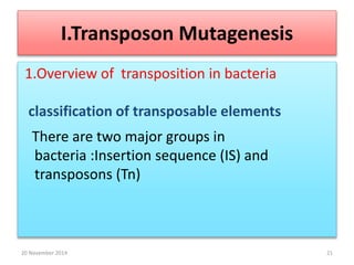 I.Transposon Mutagenesis 
1.Overview of transposition in bacteria 
classification of transposable elements 
There are two major groups in 
bacteria :Insertion sequence (IS) and 
transposons (Tn) 
20 November 2014 21 
 