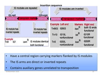 Insertion sequence 
• Have a central region carrying markers flanked by IS modules 
• The IS arms are direct or inverted repeats 
• Contains auxiliary genes unrelated to transposition 
20 November 2014 23 
 