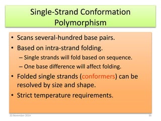 Single-Strand Conformation 
Polymorphism 
• Scans several-hundred base pairs. 
• Based on intra-strand folding. 
– Single strands will fold based on sequence. 
– One base difference will affect folding. 
• Folded single strands (conformers) can be 
resolved by size and shape. 
• Strict temperature requirements. 
20 November 2014 39 
 