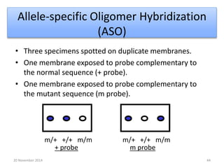 Allele-specific Oligomer Hybridization 
(ASO) 
• Three specimens spotted on duplicate membranes. 
• One membrane exposed to probe complementary to 
the normal sequence (+ probe). 
• One membrane exposed to probe complementary to 
the mutant sequence (m probe). 
m/+ +/+ m/m m/+ +/+ m/m 
+ probe m probe 
20 November 2014 44 
 