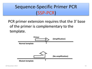 Sequence-Specific Primer PCR 
(SSP-PCR) 
PCR primer extension requires that the 3′ base 
of the primer is complementary to the 
template. 
G 
C 
G 
T 
(Amplification) 
(No amplification) 
Normal template 
Mutant template 
Primer 
20 November 2014 53 
 
