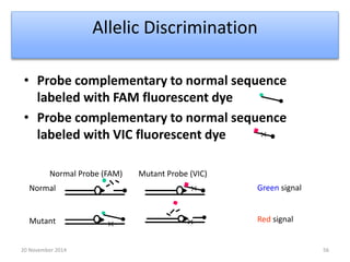 Allelic Discrimination 
• Probe complementary to normal sequence 
labeled with FAM fluorescent dye 
• Probe complementary to normal sequence 
labeled with VIC fluorescent dye 
Normal Probe (FAM) Mutant Probe (VIC) 
Normal 
Mutant 
Green signal 
Red signal 
20 November 2014 56 
 