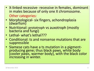 • X-linked recessive- recessive in females, dominant 
in males because of only one X chromosome. 
Other categories: 
• Morphological- six fingers, achondroplasia 
(dwarfism) 
• Nutritional: prototroph vs auxotroph (mostly 
bacteria and fungi) 
• Lethal- what’s lethal??? 
• Conditional: ts and nonsense mutations that are 
suppressible 
• Siamese cats have a ts mutation in a pigment-producing 
gene; thus black paws, white body 
(cooler paws, warmer body), with the black color 
increasing in winter. 
20 November 2014 6 
 