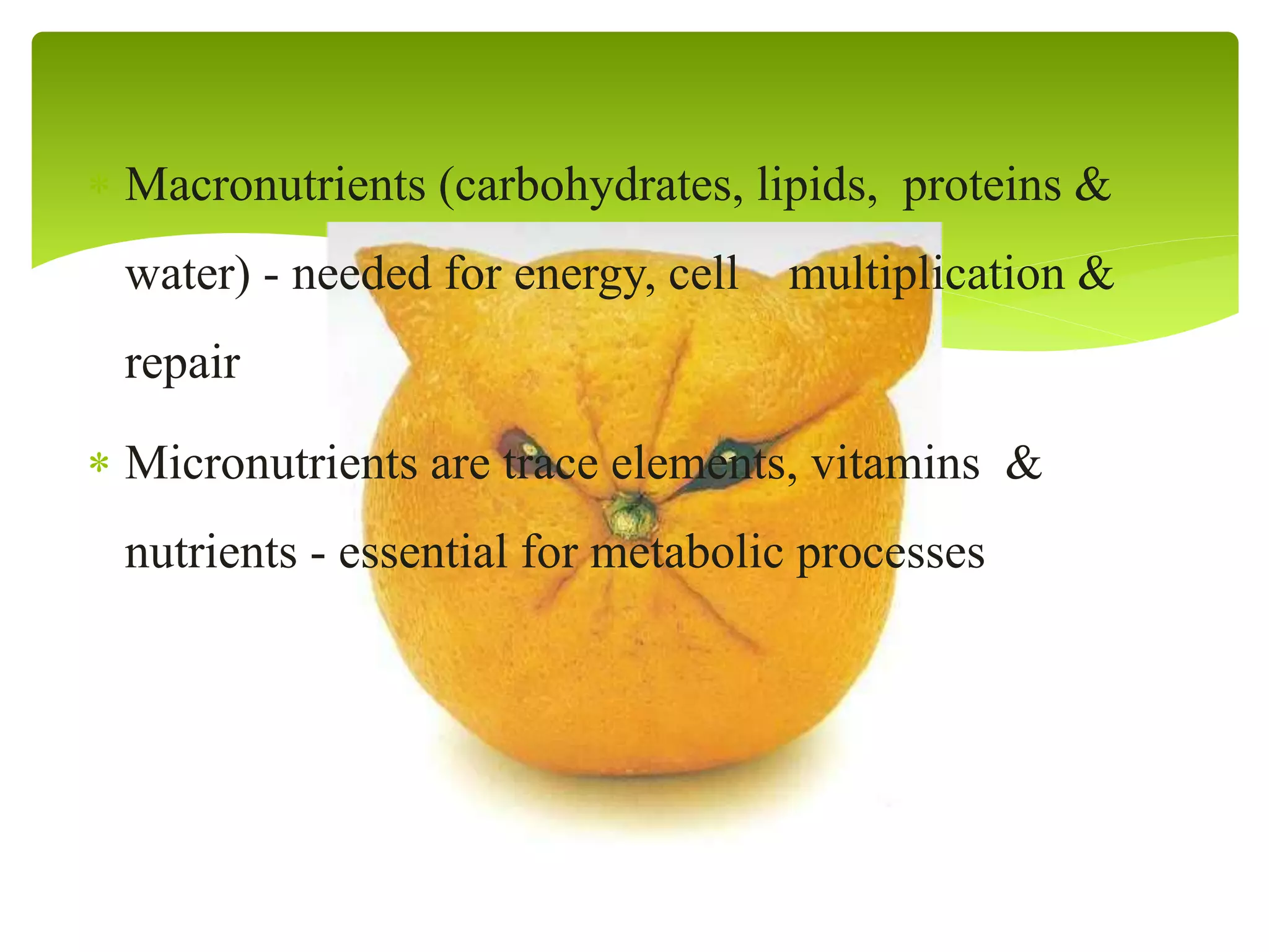 Biofortification ppt. | PPTX