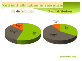 Bran
34%
Endosperm
57%
Embryo
9%
Zn distribution
Bran
55%
Endosperm
32%
Embryo
13%
Fe distribution
 
