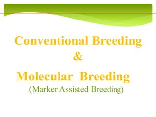 Conventional Breeding
&
Molecular Breeding
(Marker Assisted Breeding)
 