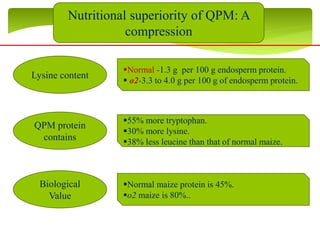 Nutritional superiority of QPM: A
compression
Lysine content
QPM protein
contains
Biological
Value
Normal -1.3 g per 100 g endosperm protein.
 o2-3.3 to 4.0 g per 100 g of endosperm protein.
55% more tryptophan.
30% more lysine.
38% less leucine than that of normal maize.
Normal maize protein is 45%.
o2 maize is 80%..
 