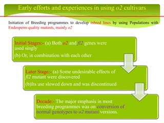 Early efforts and experiences in using o2 cultivars
Initiation of Breeding programmes to develop inbred lines by using Populations with
Endosperm quality mutants, mainly o2
Initial Stages:- (a) Both o2 and fl2 genes were
used singly
(b) Or, in combination with each other
Later Stage:- (a) Some undesirable effects of
fl2 mutant were discovered
(b)Its use slowed down and was discontinued
Decade:- The major emphasis in most
breeding programmes was on conversion of
normal genotypes to o2 mutant versions.
 