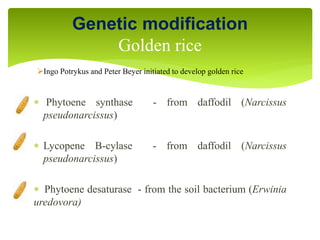 Genetic modification
Golden rice
 Phytoene synthase - from daffodil (Narcissus
pseudonarcissus)
 Lycopene B-cylase - from daffodil (Narcissus
pseudonarcissus)
 Phytoene desaturase - from the soil bacterium (Erwinia
uredovora)
Ingo Potrykus and Peter Beyer initiated to develop golden rice
 