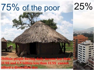 75% of the poor 25%
3billion people having daily income less than
2US$ and 1.5 billion less than 1US$ cannot
afford a diversified diet
 