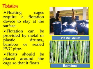 CAGE CULTURE OF FISH THEIR TREND,STATUS AND PRODUCTION | PPTX